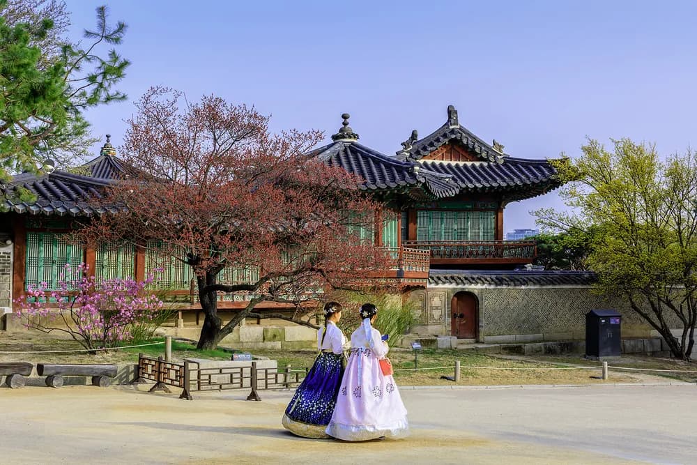 문화 시설