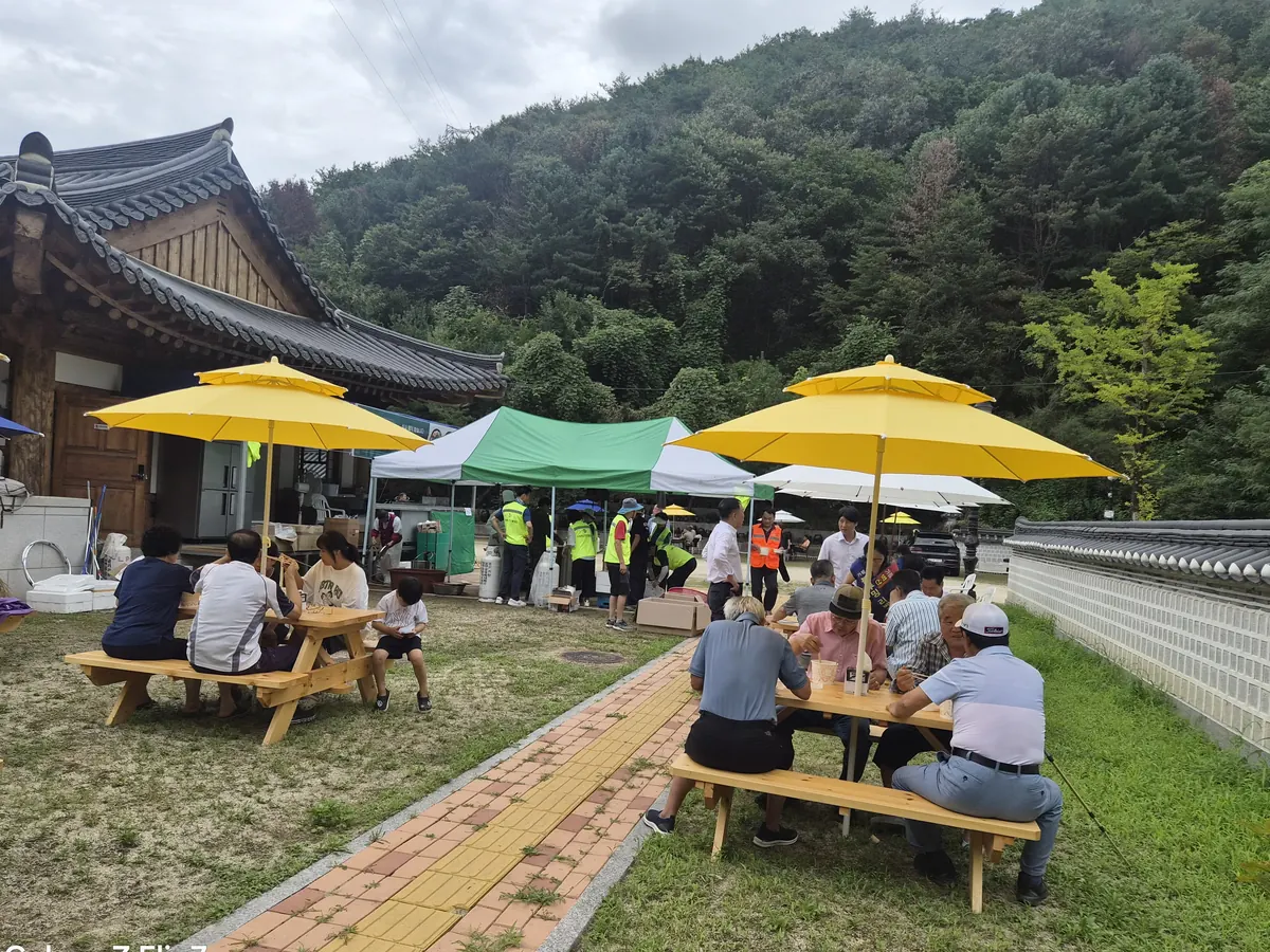 잔디광장에 늘어선 파라솔과 평상