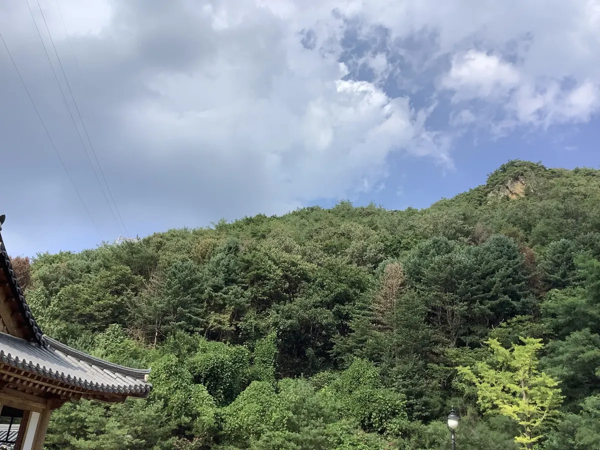 한옥 처마 너머로 보이는 호명산 자락